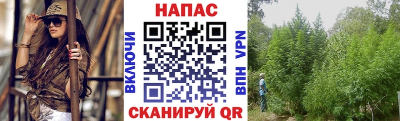 Бошки Шишки гибрид Себеж